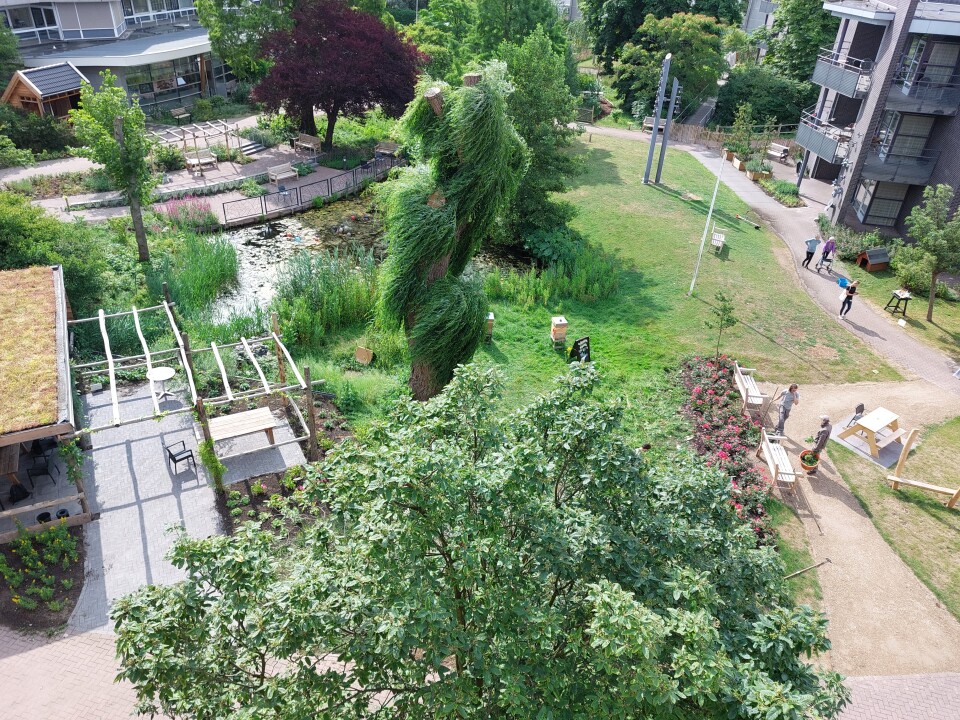 Overzicht